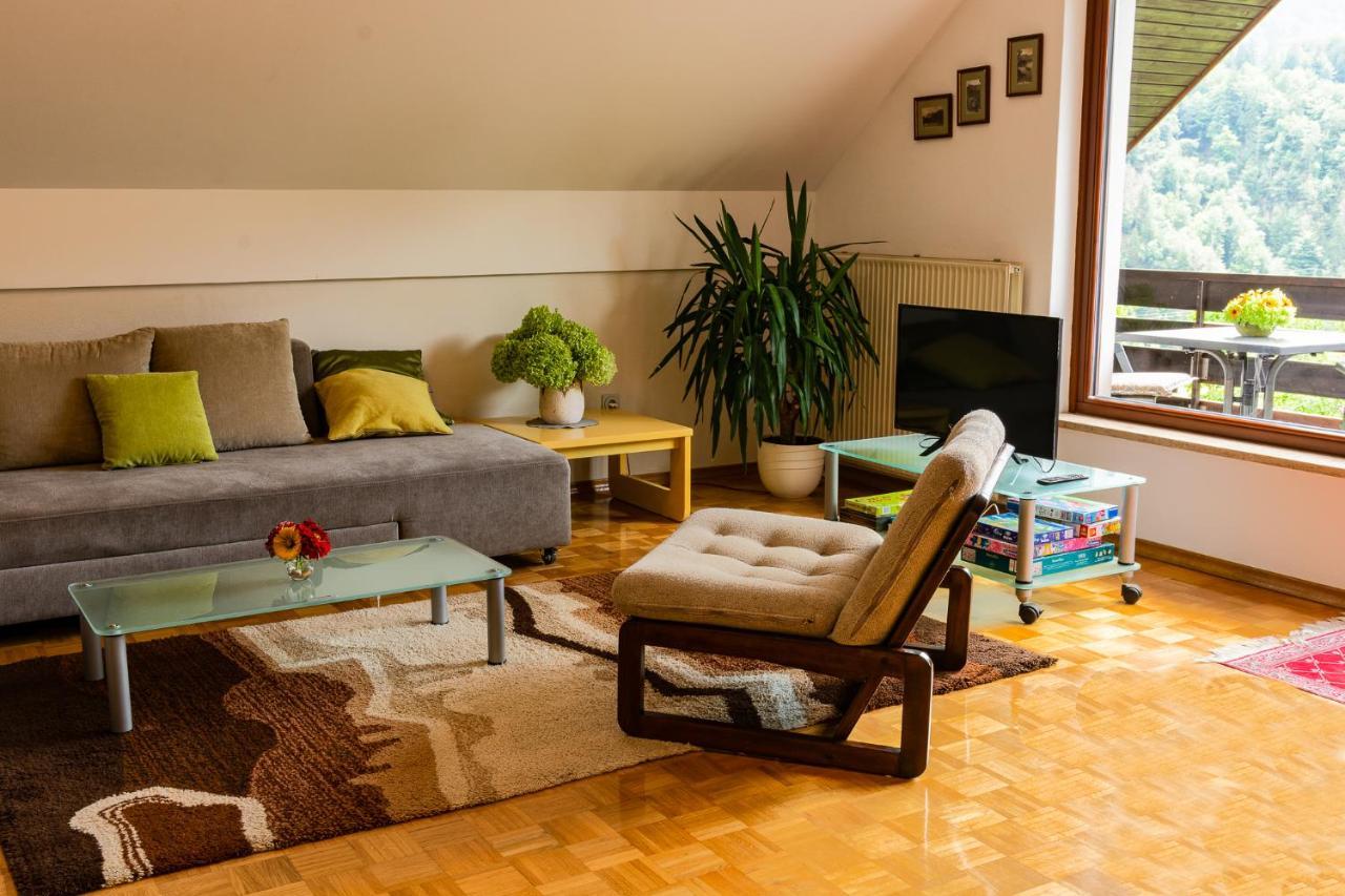 Spacious Apartment 布莱德 外观 照片